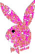 play boy